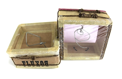 Noise Fluxbox - 2009 D.S.H. Watson - Winter Park FL USA