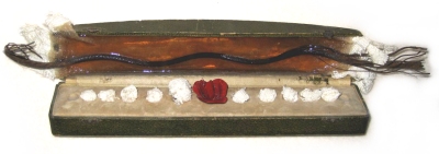 Mimi Shapiro - Lancaster, PA  Antique jewelry box stamped on the outside lid Delettrez Paris, France, inside velvet fabric, enameled red rose with wire, shredded silk knots and twisted wire cable embedded in acrylic